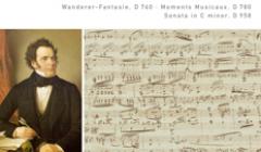 Franz Schubert: Wanderer-Fantasie, Moments musicaux, Sonate c-Moll
